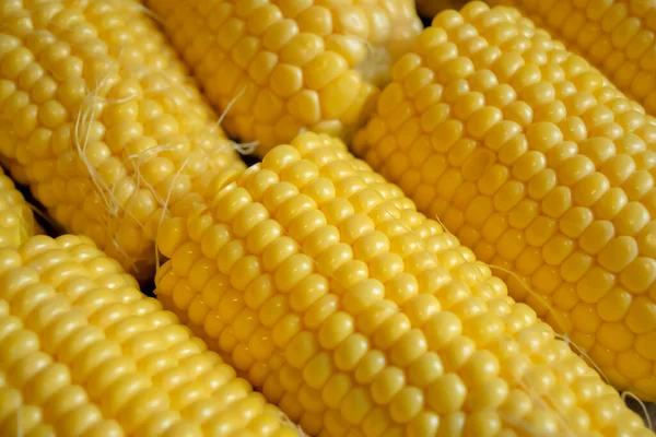 Egymás Után Hevernek Kukoricafejek Kukoricát Főzök Fél Adag Kukorica Főzéshez — Stock Fotó