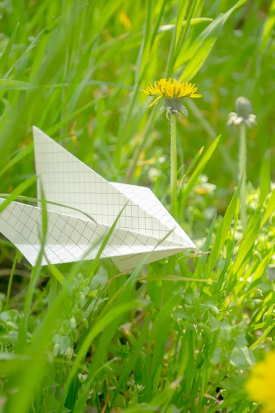 A white paper plane lies in the grass next to a dandelion. The symbol of freedom is a paper plane. Origami plane made of paper in green grass.
