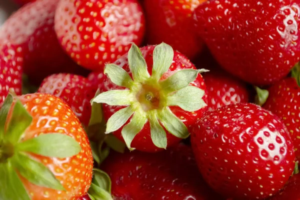Viele Rote Erdbeeren Mit Grünen Schwänzen Erdbeerrot Hintergrundfoto Rote Erdbeeren — Stockfoto