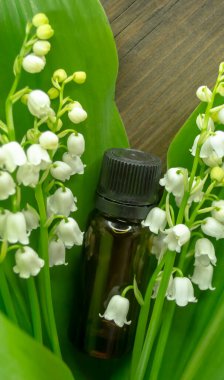 Vadideki zambak yapraklarının ve çiçeklerin yanında gerekli bir şişe yağ. Mevsimlik işler, vadideki zambakların temel petrole dönüştürülmesi. Petrol vadisindeki zambak kokusu..