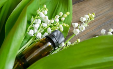 Vadideki zambak yapraklarının ve çiçeklerin yanında gerekli bir şişe yağ. Mevsimlik işler, vadideki zambakların temel petrole dönüştürülmesi. Petrol vadisindeki zambak kokusu..