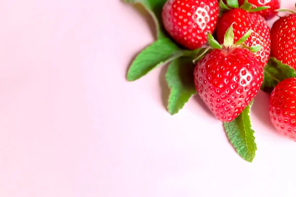 Rote Erdbeeren Mit Grüner Minze Auf Blassrosa Hintergrund Sommermischung Erdbeeren — Stockfoto