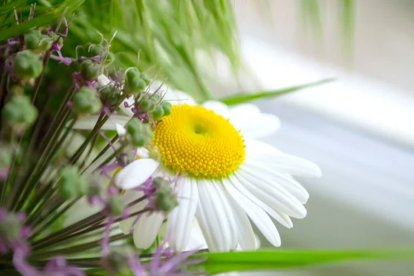 Virágcsokor Egy Vázában Ablakpárkányon Vázában Százszorszépek Lila Virágok Zöld Tüskék — Stock Fotó