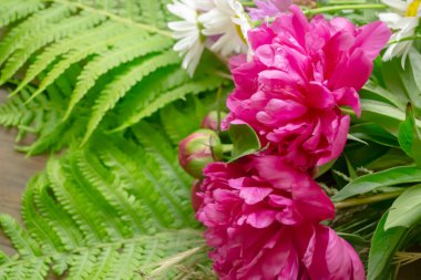 Eğreltiotu yapraklarının yanında mor şakayıklar. Büyük şakayık tomurcukları ve yeşil eğreltiotu. Eğreltiotu ve şakayık buketi.