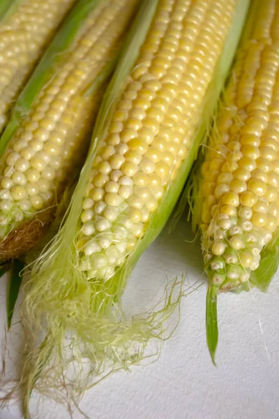 Fresh corn on a white table. yellow corn kernels. Raw corn on the cob.