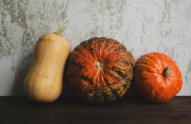 Sonbahar süslemeleri. Eski duvarların arkasında üç tane dekoratif balkabağı. Eski bir duvarın arkasında üç balkabağı.