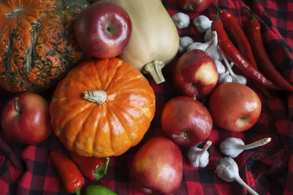 Gifts of autumn. Lots of vegetables and fruits on a red checkered blanket. Pumpkins, apples, garlic, hot peppers - harvesting. Healthy autumn vegetables and fruits.
