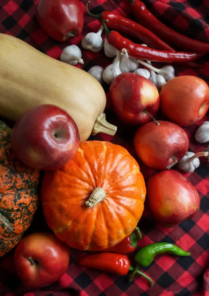 Gifts of autumn. Lots of vegetables and fruits on a red checkered blanket. Pumpkins, apples, garlic, hot peppers - harvesting. Healthy autumn vegetables and fruits.