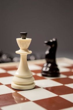 Satranç. Bir kral ve bir şövalyenin satranç taşı. Beyaz bir krala satrançta bir siyah şövalye çarpar. Kralın satranca adımını at.