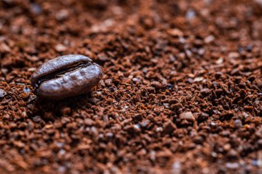 Yakın plan taze kahve tozu ve tek kahve çekirdeği.