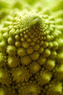 Romanesco Brassica oleracea karnabahar 'ın Macro çekimi