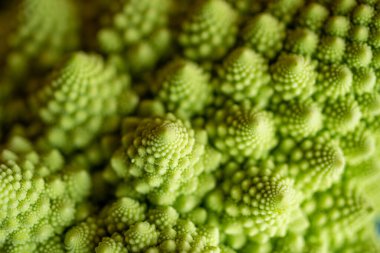 Romanesco Brassica oleracea cauliflowe 'un Macro çekimi