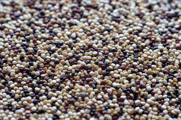 Fehér Vörös Fekete Quinoa Magok Közelsége — Stock Fotó