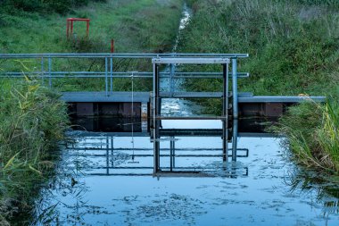 Her iki tarafında çayır olan bir hendeğe yakın plan.