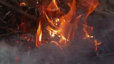 Uçan dumanlı yanan bir çubuk. Büyüyen ateş ya da ateşin yanında toplanma kavramı. Videoyu tam HD olarak yükle