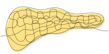 Pankreas beyaz arka planda tek çizgi halinde. İnsan organları kavramı. Sarı siluetli salgı bezinin ana hatlarıyla stok vektör çizimi.