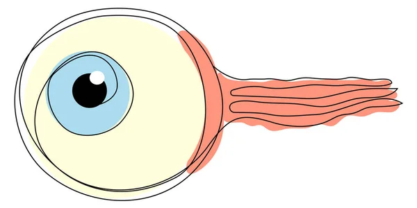 Bulbo Oculare Una Linea Con Una Silhouette Colorata Pupilla Blu — Vettoriale Stock