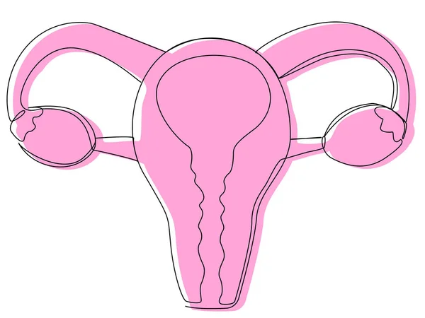 Utérus Avec Ovaires Une Ligne Silhouette Rose Sur Fond Blanc — Image vectorielle