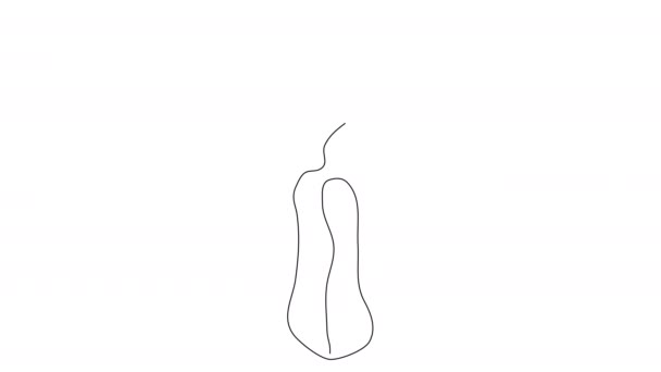 Selbstzeichnung Männlicher Genitalorgane Mit Einer Linie Auf Weißem Hintergrund Das — Stockvideo