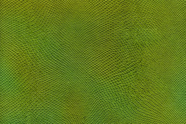 Textura Réptil Verde Alta Qualidade Foto Stock Camuflagem Animal Espaço — Fotografia de Stock