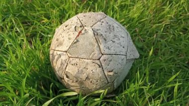 Yeşil çimlerin üzerinde diş ısıran eski bir top. Eski favori köpek oyuncağı konsepti. Full HD 'de eski püskü bir futbol topunun stok videosu..