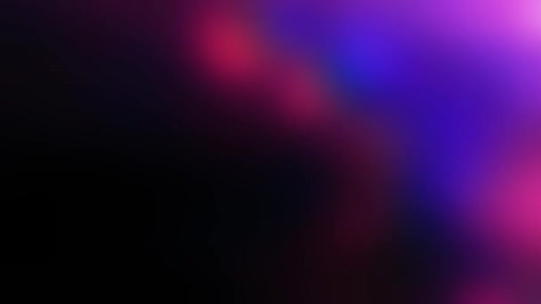 Wazig Roze Overlay Zwarte Achtergrond Neon Paars Overlay Voor Kleurgradering — Stockvideo