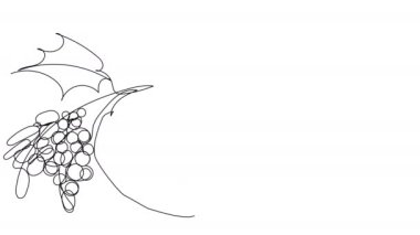 Self-drawing Bottle, grapes and goblet on a white screen. Alcohol in one line. Winemaking concept for whiteboard presentation.
