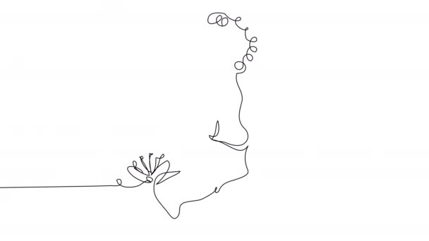 Samo Rysowanie Ciężarnej Kobiety Trzymającej Brzuch Kwiatach Jednej Linii Białym — Wideo stockowe