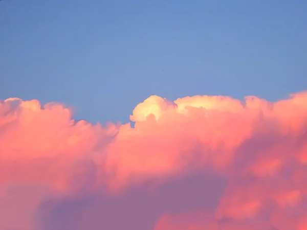 Pink clouds against a gray sky. Stock photo with sky.