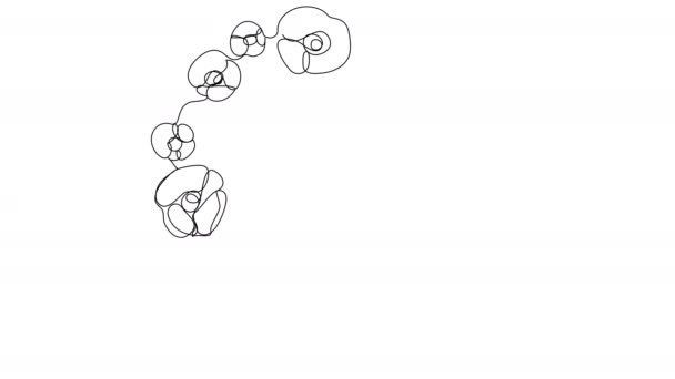 Саморисование Венка Красными Маками Одну Линию Белом Экране Анимация Круглой — стоковое видео