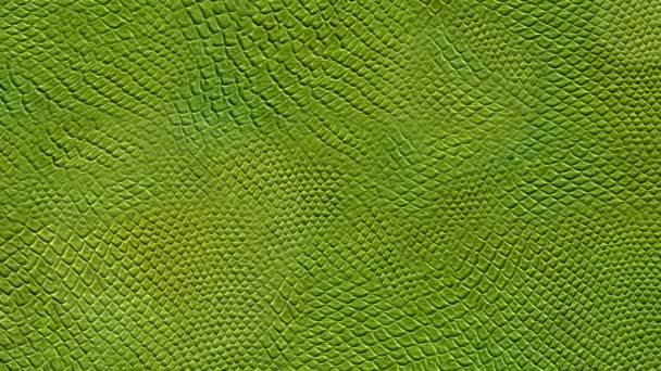 Geschlungene Textur Eines Grünen Reptils Archivvideo Mit Waagen — Stockvideo