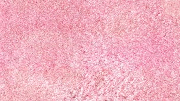 Glamouröses Rosafarbenes Fell Mit Nahtlosem Muster Textur Der Weichen Flauschigen — Stockvideo
