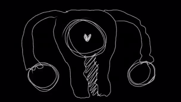 Siyah Ekranda Dönen Bir Kadın Rahminin Karalama Çizimi Çizimi Basit — Stok video
