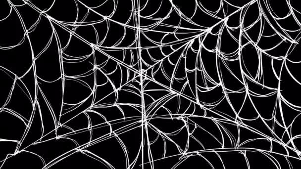 Animation Une Araignée Remplie Toiles Blanches Sur Écran Noir Transition — Video