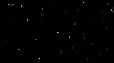 Beyaz noktalar, çizikler, darbeler, hasar, siyah ekrandaki lekeler. Eski moda ve eski moda eklemek için efekt. 4K 'da alfa kanallı nostaljik video..