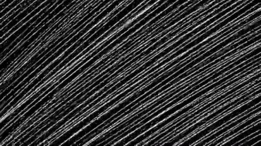 Siyah ekrandaki beyaz çizgiler. Akademik çizim dokusu ve alfa kanalı olan 4K stok videosu. Kalem darbelerinin sanat efekti.