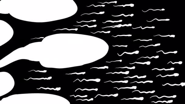 Video Přechod Spermiemi Černé Obrazovce Animace Karikatury Hnojení Alfa Kanálem — Stock video