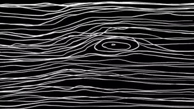 Siyah ekranda kabuk şeklindeki beyaz çizgilerin animasyonu. Karalama tarzında ahşap desenli eskiz. 4K 'da alfa kanallı darbelerle soyut arkaplan yükle.