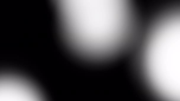 Λευκές Ηλιαχτίδες Μαύρη Οθόνη Απόθεμα Αφηρημένο Αποτέλεσμα Λάμψεις Για Επικάλυψη — Αρχείο Βίντεο