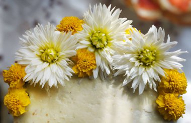 Çiçeklerle süslenmiş pasta. Pastada beyaz papatyalar ve sarı çiçekler var. Yüksek kaliteli stok fotoğrafı.