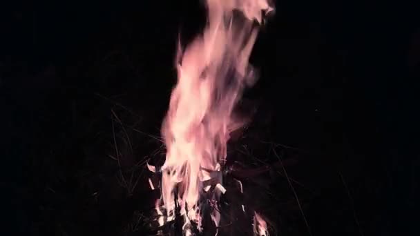 ピクニックで明るい炎を燃やします 火の周りに集まるという概念 フルHdで観光客の停止のストックビデオ — ストック動画