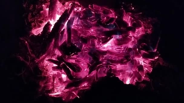 Λιωμένα Κάρβουνα Φωτιάς Αρχείο Βίντεο Του Θανάτου Φωτιά Πλήρη — Αρχείο Βίντεο