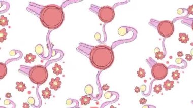 Beyaz ekranda dönen karikatür uteruslar. Kadın sağlığı kavramının animasyonu. Metin için alanı olan 4K içinde döngülü arkaplan.