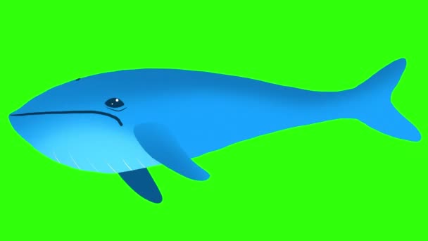 Мультяшний Синій Кит Плаває Зеленому Екрані Симпатичний Океанський Персонаж Рухається — стокове відео