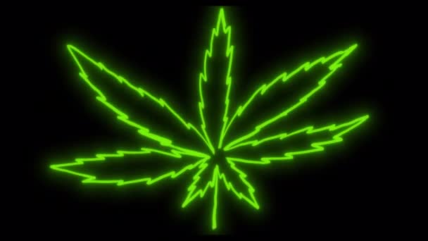 Line Neon Cannabis Una Pantalla Negra Animación Cáñamo Verde Para — Vídeo de stock