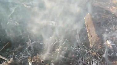 Sigara ve yanan bir odun. Duman videosunu tam HD olarak yükle