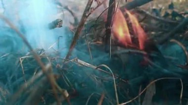 Parlayan ateş ve rüzgarlı dumanla yanan dallar. Tam HD kamp ateşi stok video.
