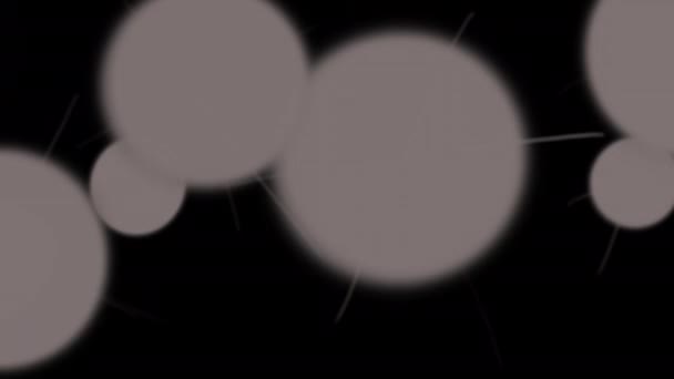 Анимация Вспышек Камеры Черном Экране Концепция Славы Фестиваля Кинозвезды Популярного — стоковое видео
