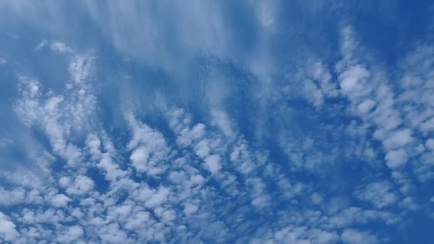 Vídeo Céu Azul Com Nuvens Brancas Clipe Estoque Com Uma — Vídeo de Stock