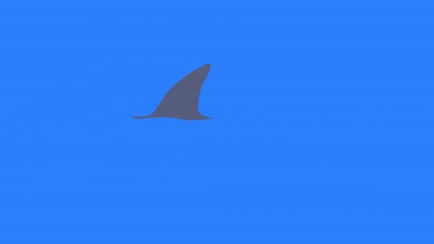 Cartoon Animatie Van Een Jacht Haai Een Blauw Scherm Bijt — Stockvideo